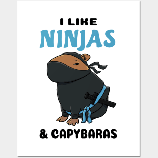 I like Ninjas and Capybaras Posters and Art